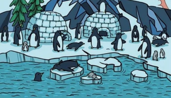 Test IQ exclusiv pentru genii | Numai mințile agere văd unde se ascunde foca, în doar 5 secunde!