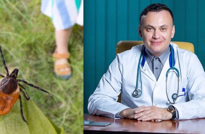 A început sezonul căpușelor! Medicul Adrian Marinescu ne explică de ce NU trebuie să ne alarmăm dacă am fost înțepați de această insectă EXCLUSIV