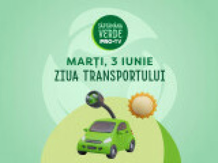 Verde pentru biciclete – proiectul care a transformat Timișoara într-unul dintre cele mai prietenoase orașe pentru bicicliști