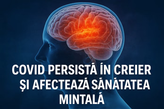 covid persista in creier și provoacă tulburări cognitive